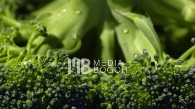 5 Macam Sayuran Yang Aman Bagi Diabetesi