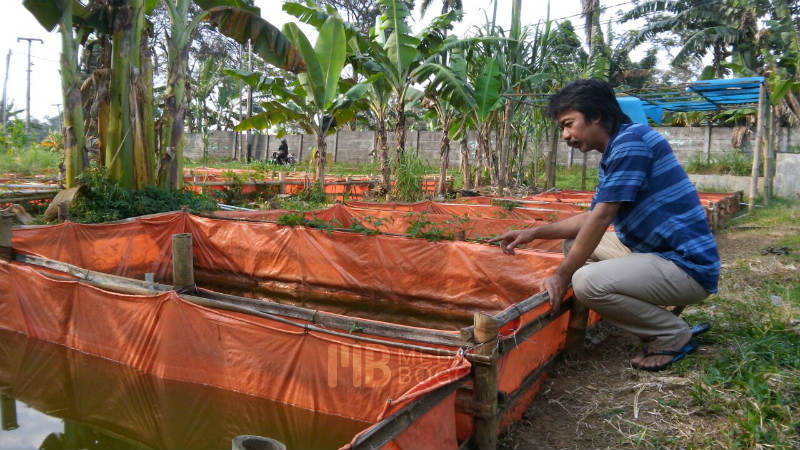 Berdayakan Masyarakat, Anggota DPRD Ajak Warga Katulampa Budidaya Ikan Lele