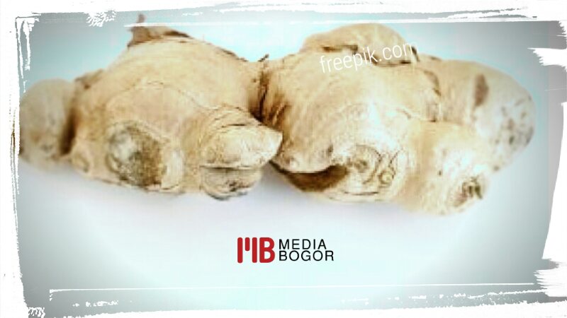 Manfaat Lebih Dari Jahe