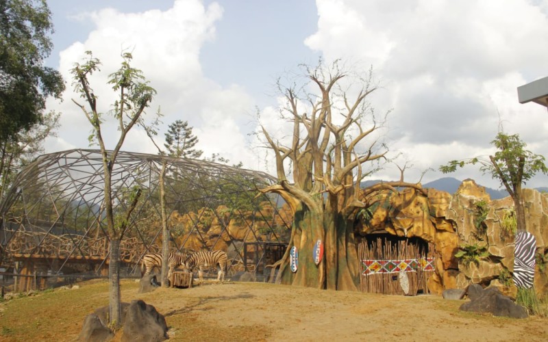 Liburan Sekolah Sekaligus Edukasi Satwa dan Alam di Puncak