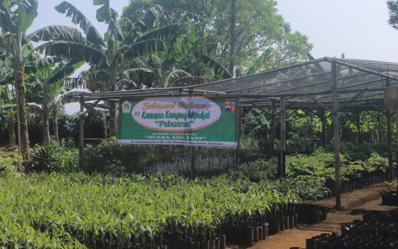 Kampung Alpukat Suguhkan Bibit Varietas Unggulan Nasional