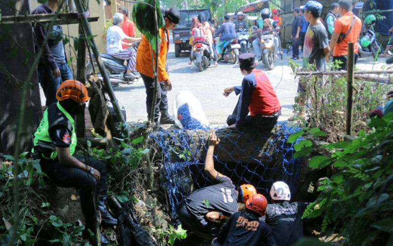 Tiga Buaya Berkeliaran di Gorong-Gorong Kediaman Warga