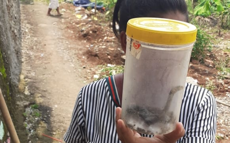 Warga Kayumanis Bogor Resah Keberadaan Ular Kobra