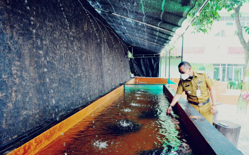 Lima Keluarahan di Kecamatan Bogor Utara Rawan Banjir Lintasan