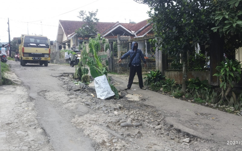 Tak Kunjung Diperbaiki, Warga Malasari Tanam Pohon Pisang di Jalan Berlubang
