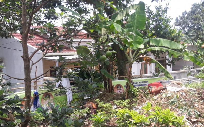 Kampung Pabuaran Pasir Mulyaharja Dikenal Penghasil Alpukat