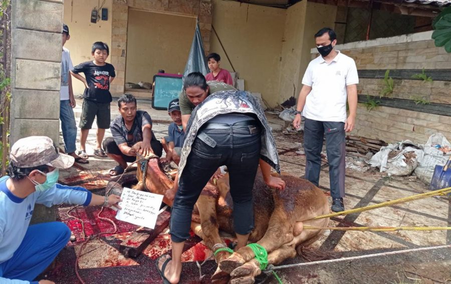 Hari Raya Idul Adha, Mardiyanto Anggota DPRD Kota Bogor Tebar Daging Kurban