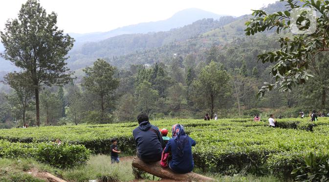 Tingkat Kunjungan Hotel dan Restoran di Puncak Akhir Pekan Kemarin Mencapai 50 Persen