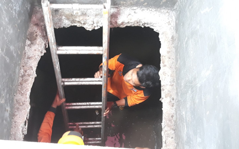 Arkeolog Telusuri Terowongan Kuno Peninggalan Jaman Belanda di Bogor
