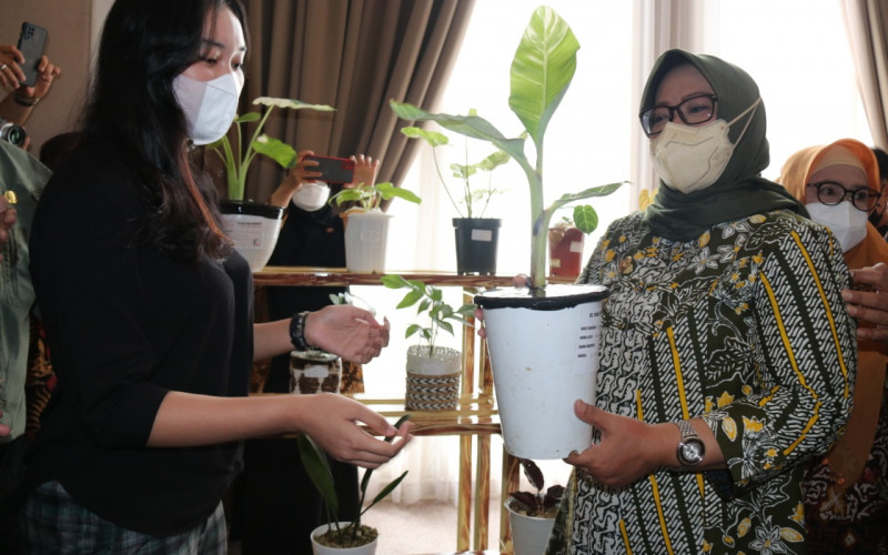 Tanaman Hias di Kabupaten Bogor Beromset 300 Juta Sehari