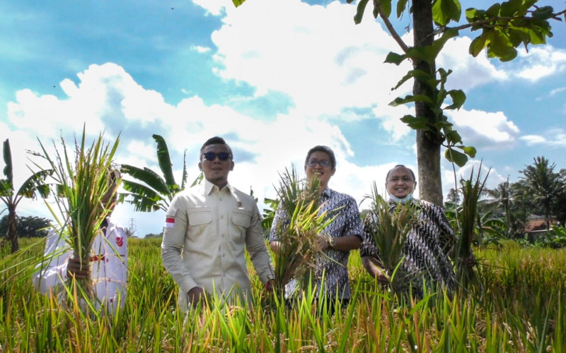 Pimpinan DPRD Panen Raya Bersama Warga