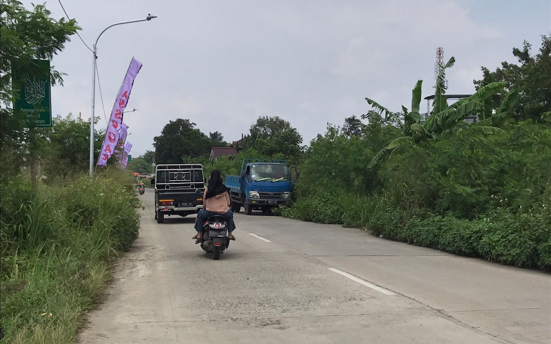 Jalan Lingkar Dramaga Banyak Rumput Ilalang Potensi Kriminal dan Laka