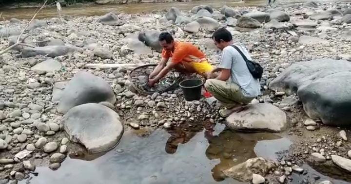 Diduga Tercemari Limbah B3, Ribuan Ikan di Sungai Cikaniki Mati