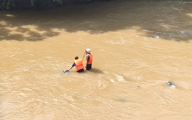 Heboh Kemunculan Buaya di Sungai Cisadane