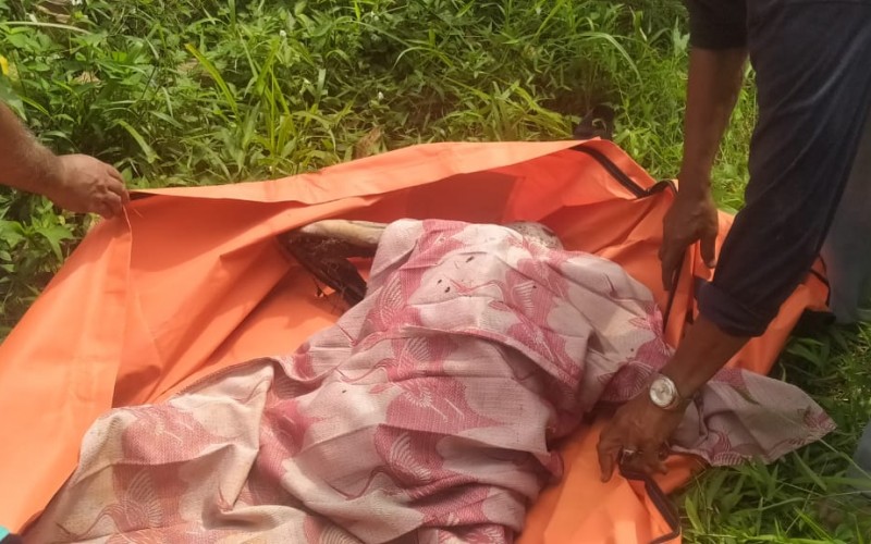 Kerangka Manusia Ditemukan Warga Jasinga