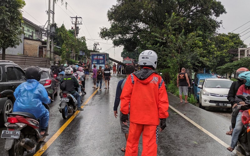 Akibat Hujan Deras Disertai Angin Kencang, Pohon Tumbang Timpa Mobil di Jalan Dramaga