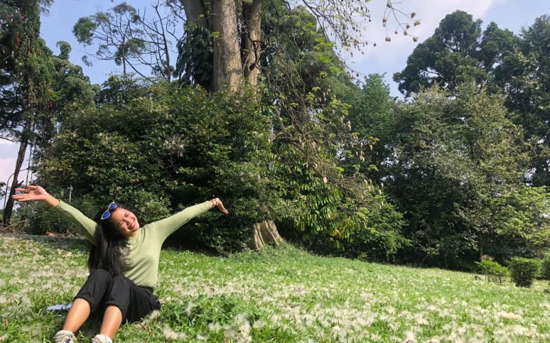 Salju di Kebun Raya Bogor