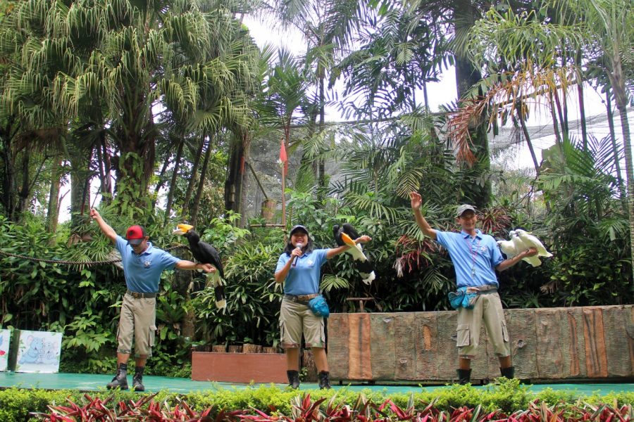 Sambut HUT RI ke-77, Royal Safari Garden Berikan Beragam Keceriaan