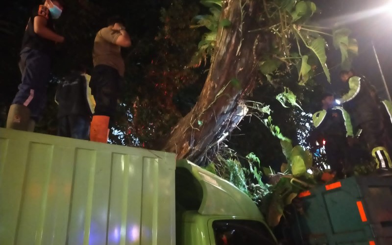 Truk Ekspedisi Tertimpa Pohon Tumbang di Jalan Raya Pajajaran Bogor