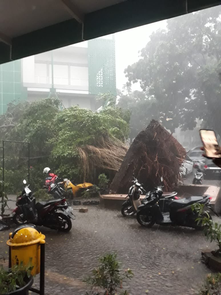 Hujan Angin, Pohon Tumbang dan Longsor Melanda Kota Bogor