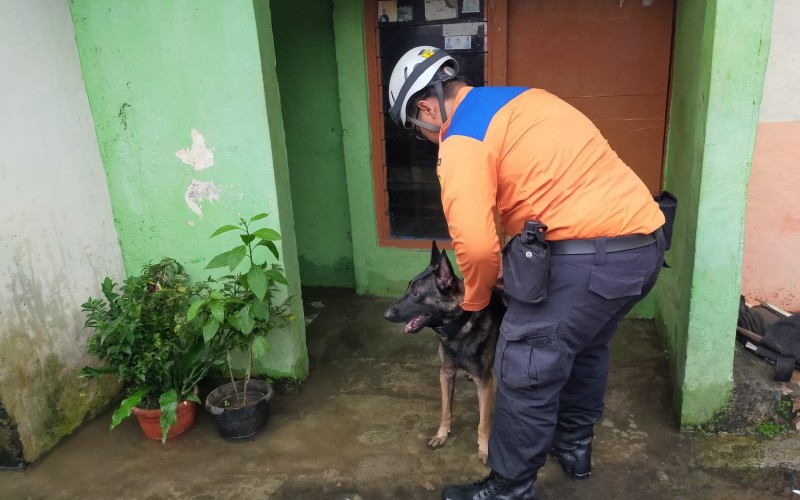 Anjing K9 Diterjunkan Cari Korban Longsor di Gang Barjo