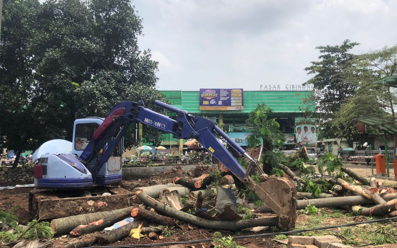 Pohon Tumbang di Pasar Cibinong Menimpa Mobil, Warga Salahkan Proyek Penggalian Tanah