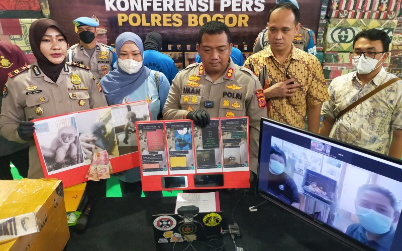 Polisi Tangkap Pelaku Jual Beli Satwa Dilindungi Bayi Owa Jawa di Bogor