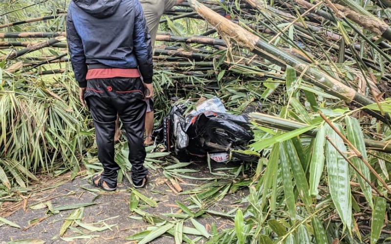 Naas! Warga Banyuresmi Tertimpa Rumpun Bambu Sepulang dari Pasar
