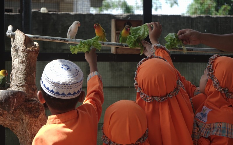 Dompet Dhuafa Madina Zoo dan Madina Playground, Ini Fasilitasnya