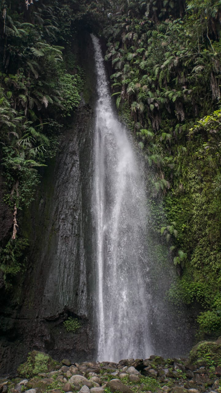 Kebun Raya Cibodas Wisata Alam Favorit Cianjur