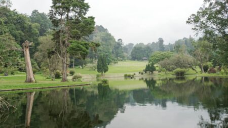 Kebun Raya Cibodas Wisata Alam Favorit Cianjur