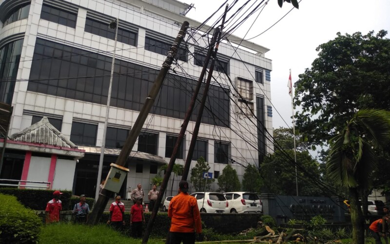 Nyaris Ambruk, Tiang Listrik Tertimpa Pohon Rumbang