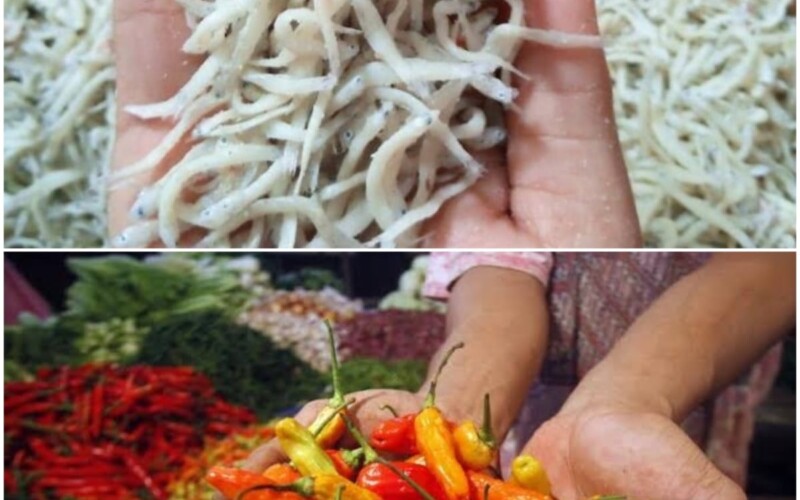 Dua Hari Ramadan, Harga Ikan Asin Teri Medan dan Cabe Rawit Merah Meroket