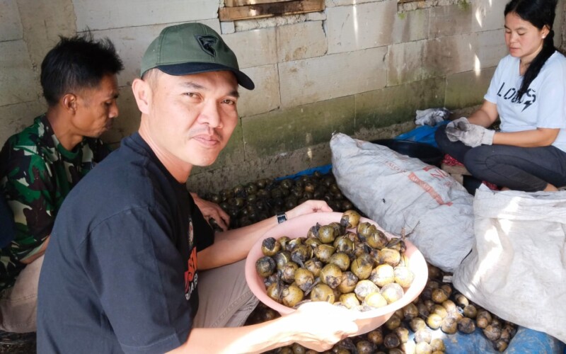 Bulan Ramadan, Membawa Berkah Bagi Pengrajin Kolang Kaling di Puraseda