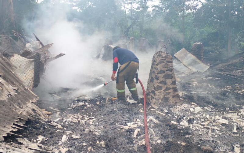 Akibat Ada Kebocoran Tabung Gas, Kandang Ayam Hangus Terbakar di Puraseda