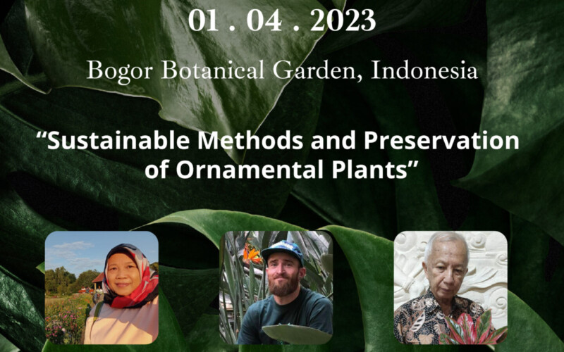 Lebih Dekat Dengan Upaya Berkelanjutan dan Pemuliaan Tanaman Hias Bersama Kebun Raya Bogor