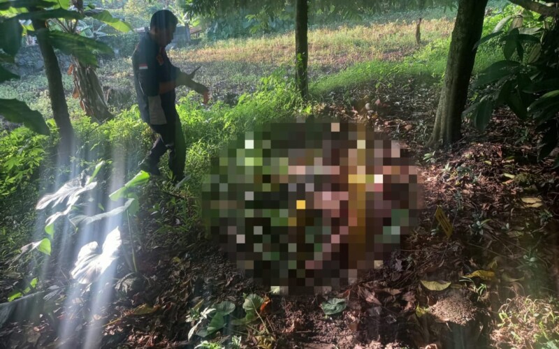 Sopir Taksi Online Ditemukan Tewas di Tol Jagorawi, Satu Pelaku Ditangkap