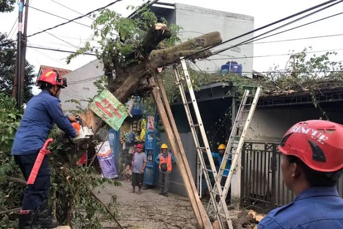Satu Unit Rumah Runtuh Tertimpa Pohon di Bojonggede
