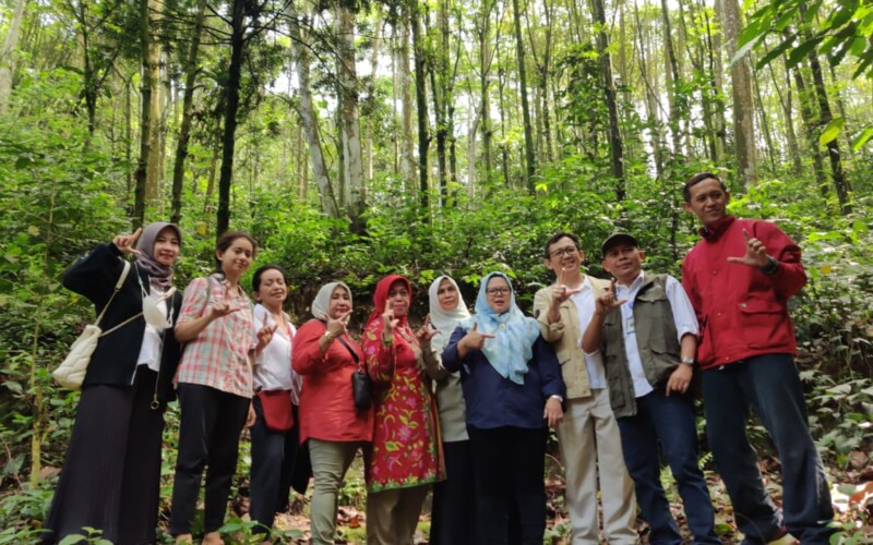 Hutan Organik Megamendung Jadi Kandidat Penerima Kalpataru