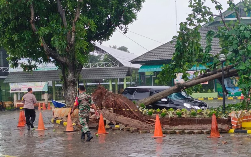 Hujan Angin, Pohon Ketapang di SDI Al Azhar Cibinong Tumbang Timpa Mobil
