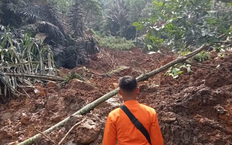Tebingan di Tanjungsari Bogor Longsor, 342 Warga Mengungsi