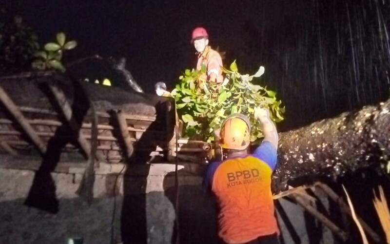 Huja Deras, Pohon Tumbang di Kota Bogor Timpa Rumah Warga