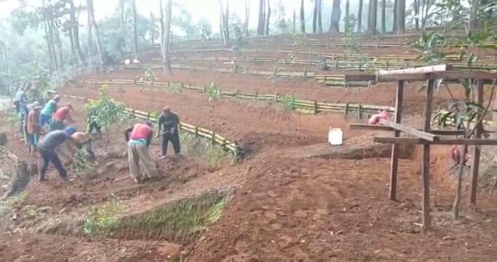 Sebanyak 143 HKM di Nanggung Pemanfaatan dan Pengelolaan oleh Poktan