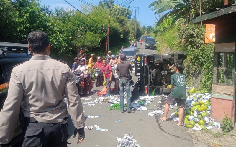 Tak Kuat Nanjak, Mobil Pikap Bawa Sayuran Overload Terguling di Jalan Alternatif Puncak