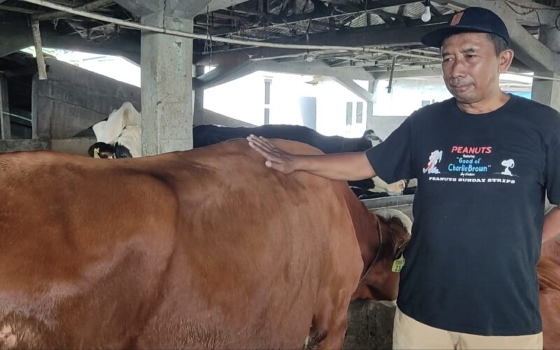 Dampak Virus LSD, Pedagang Hewan Kurban di Kota Bogor Merugi 50 Persen