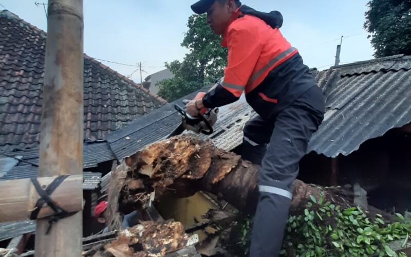 Rumah Warga Rusak Parah Tertimpa Pohon Tumbang di Bogor