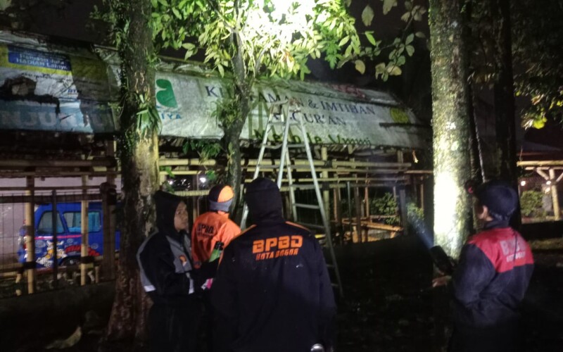 Sedang Asik Bermain, Dua Bocah Disengat Tawon