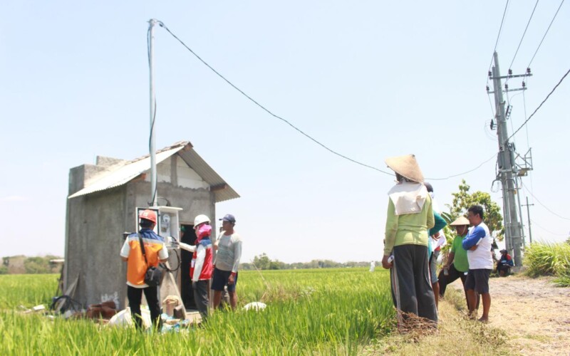 Pertanian Modern Berbasis Listrik Kian Berkembang, Program Electrifying Agriculture PLN Tumbuh 22,28 Persen