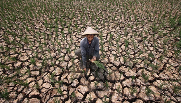 Pemkab Bogor Keluarkan Status Siaga Darurat Kekeringan dan Kebakaran Hutan
