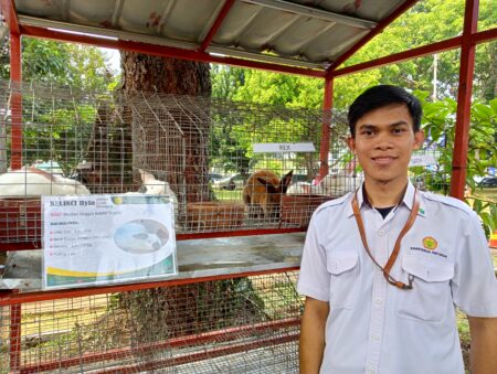 BPSI UAT Unjukan dan Jelaskan Kelinci Pedaging di Acara Satu Tahun BSIP.